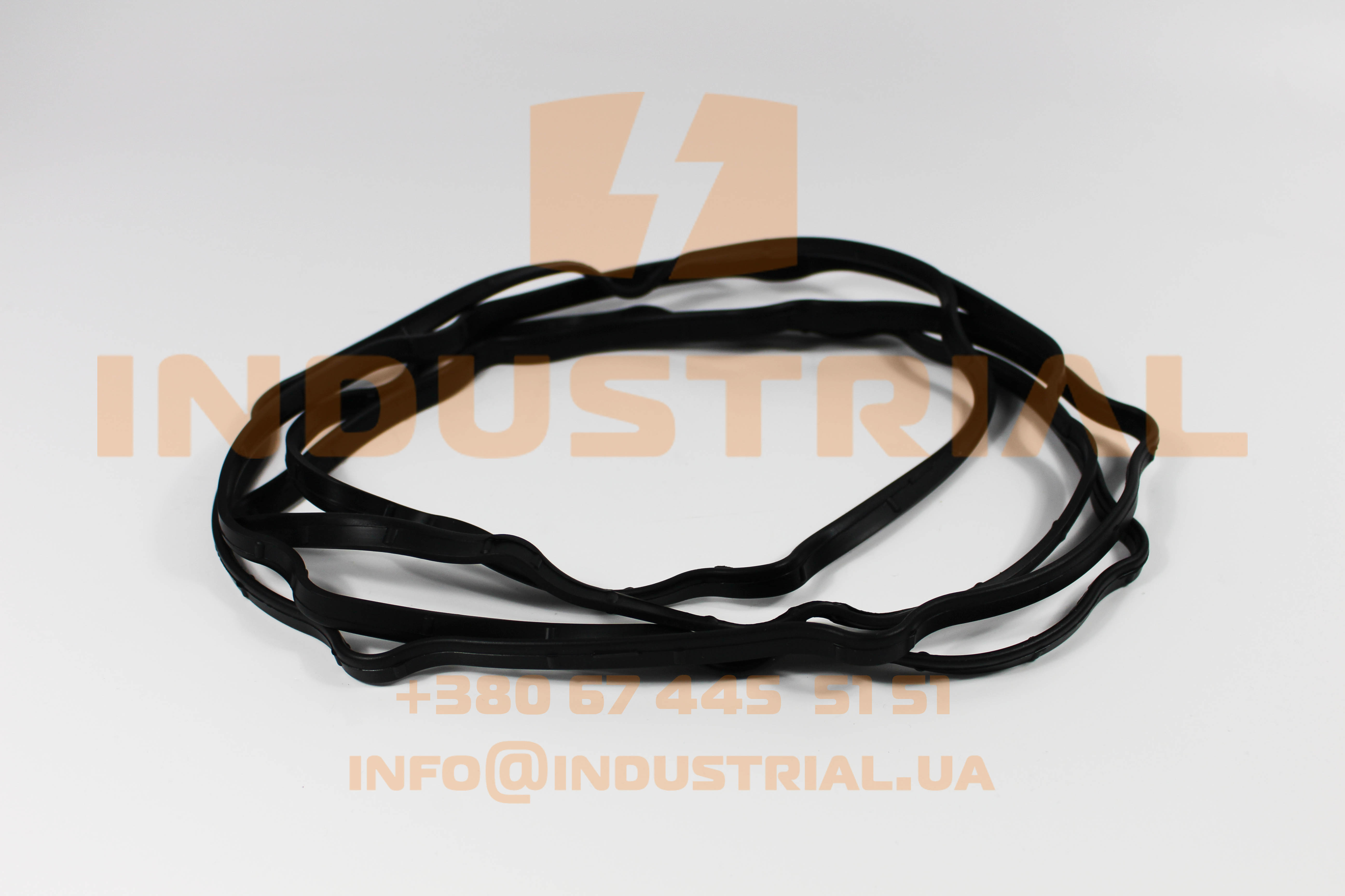 INC 2817502 INCAR